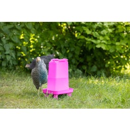 Kerbl Geflügeltränke rechteckig pink - 3,5 l