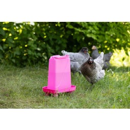 Kerbl Geflügeltränke rechteckig pink - 3,5 l
