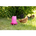 Kerbl Geflügeltränke rechteckig pink - 3,5 l