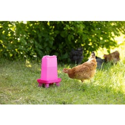 Kerbl Geflügeltränke rechteckig pink - 3,5 l