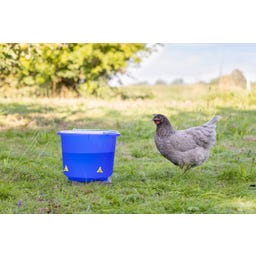 Kerbl Tränkeeimer für Geflügel 12 l - blau