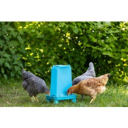Kerbl Futterautomat für Geflügel blau - 3,5 l