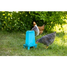 Kerbl Futterautomat für Geflügel blau - 3,5 l
