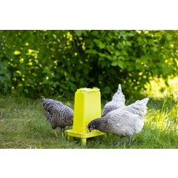Kerbl Futterautomat für Geflügel grün - 3,5 l