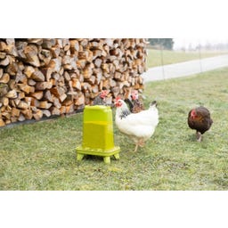 Kerbl Futterautomat für Geflügel grün - 3,5 l