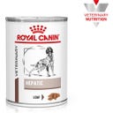 Royal Canin Veterinary HEPATIC Mousse - 420 g