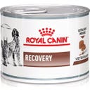 Royal Canin Veterinary RECOVERY Ultra Soft Mousse - 195 g