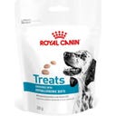 Royal Canin Veterinary HYPOALLERGENIC SNACKS
