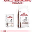 Royal Canin Veterinary HEPATIC Mousse - 420 g