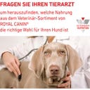 Royal Canin Veterinary URINARY S/O Mousse - 200 g