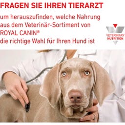 Royal Canin Veterinary URINARY S/O Mousse - 200 g