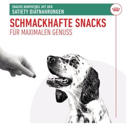 Royal Canin Veterinary SATIETY SNACKS - 230 g