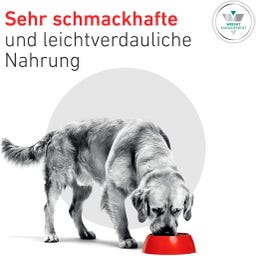 Royal Canin Veterinary SATIETY WEIGHT MANAGEMENT Mousse - 195 g