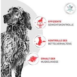 Royal Canin Veterinary SATIETY WEIGHT MANAGEMENT Mousse - 195 g