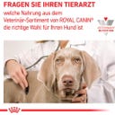 Royal Canin Veterinary RENAL SPECIAL Mousse - 410 g