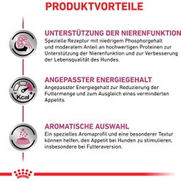 Royal Canin Veterinary RENAL SPECIAL Mousse - 410 g