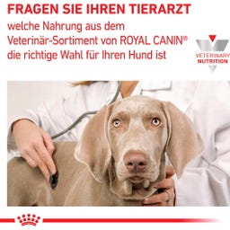 Royal Canin Veterinary RENAL Mousse - 410 g