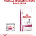 Royal Canin Veterinary RENAL Mousse - 200 g