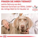 Royal Canin Veterinary RECOVERY Ultra Soft Mousse - 195 g