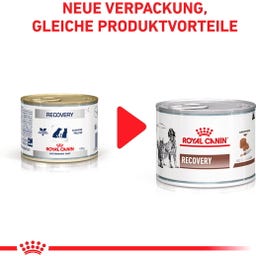 Royal Canin Veterinary RECOVERY Ultra Soft Mousse - 195 g