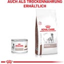Royal Canin Veterinary HEPATIC Mousse - 200 g