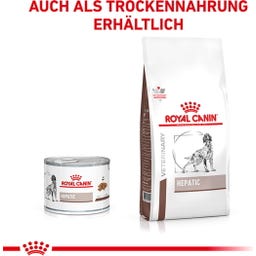 Royal Canin Veterinary HEPATIC Mousse - 200 g