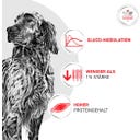 Royal Canin Veterinary GLYCOBALANCE Low Carb Mousse - 410 g