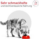 Royal Canin Veterinary GLYCOBALANCE Low Carb Mousse - 410 g