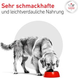 Royal Canin Veterinary GLYCOBALANCE Low Carb Mousse - 410 g
