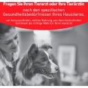 Royal Canin Veterinary GLYCOBALANCE Low Carb Mousse - 410 g