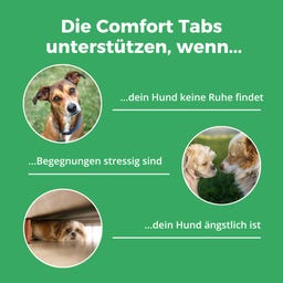 purapep Comfort Hundetabs - 120 Kautabletten