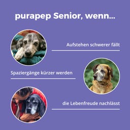 purapep Senior - 280 g