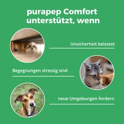 purapep Comfort - 280 g