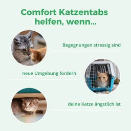 purapep Comfort Katzentabs - 120 Kautabletten