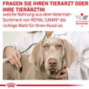 Royal Canin Veterinary GASTROINTESTINAL LOW FAT Mousse - 200 g