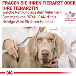 Royal Canin Veterinary GASTROINTESTINAL LOW FAT Mousse - 200 g