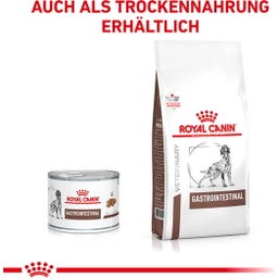 Royal Canin Veterinary GASTROINTESTINAL Mousse - 200 g