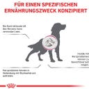 Royal Canin Veterinary CARDIAC Mousse - 200 g