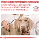 Royal Canin Veterinary CARDIAC Mousse - 200 g