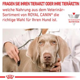 Royal Canin Veterinary CARDIAC Mousse - 200 g
