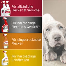 Flecken- & Geruchsentferner Hund Zitrusduft - 709 ml
