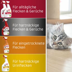 Nature’s Miracle Stain & Odour Remover Katze Melone - 946 ml