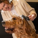 Fiskars Massagebürste - 1 Stk