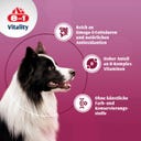 8in1 Bierhefetabletten für alle Hunde - 260 Tabletten