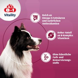 8in1 Bierhefetabletten für alle Hunde - 260 Tabletten