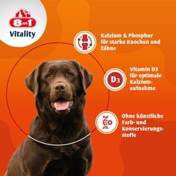 8in1 Kalziumtabletten für alle Hunde - 155 Tabletten