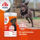 8in1 Kalziumtabletten für alle Hunde - 155 Tabletten