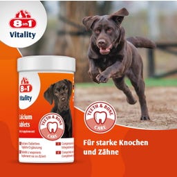 8in1 Kalziumtabletten für alle Hunde - 155 Tabletten