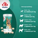 Glucosamintabletten + MSM für ausgewachsene und ältere Hunde - 55 Tabletten