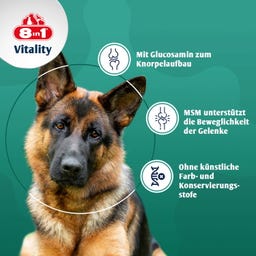 Glucosamintabletten + MSM für ausgewachsene und ältere Hunde - 55 Tabletten